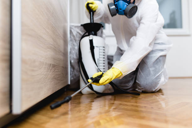 Best Pest Inspection Near Me  in Reisterstown, MD