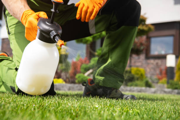 Trusted Reisterstown, MD Pest Control Experts