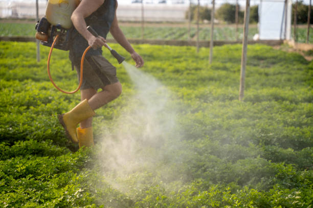 Best Commercial Pest Control Services  in Reisterstown, MD