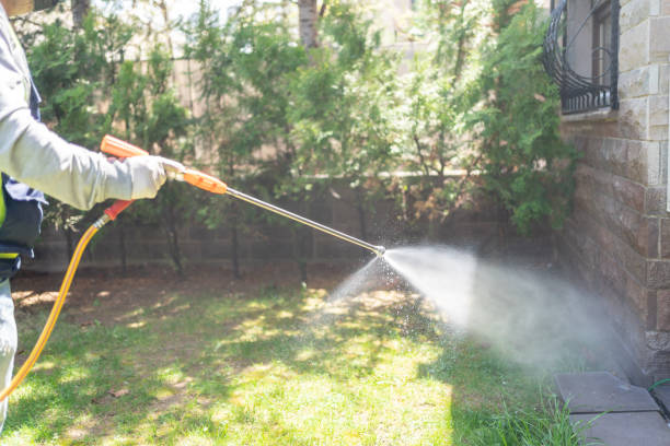 Best Pest Inspection Near Me  in Reisterstown, MD