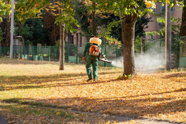 Best Pest Removal Services  in Reisterstown, MD