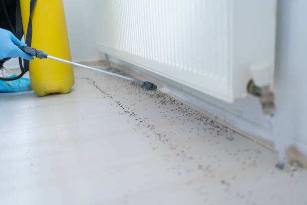 Best Residential Pest Control  in Reisterstown, MD