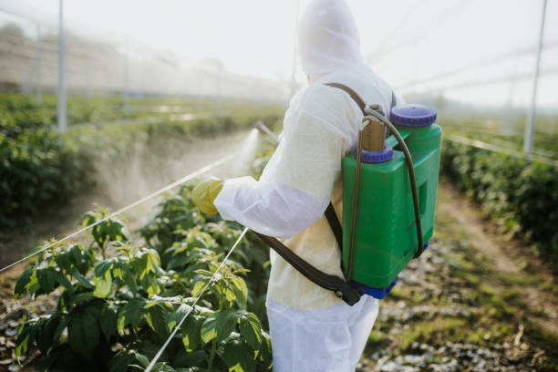 Best Emergency Pest Control  in Reisterstown, MD